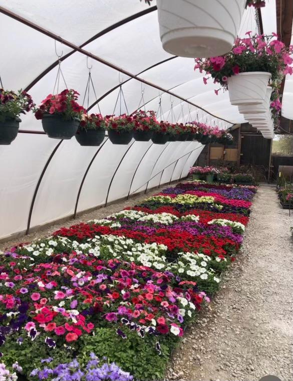 Belbas Greenhouse