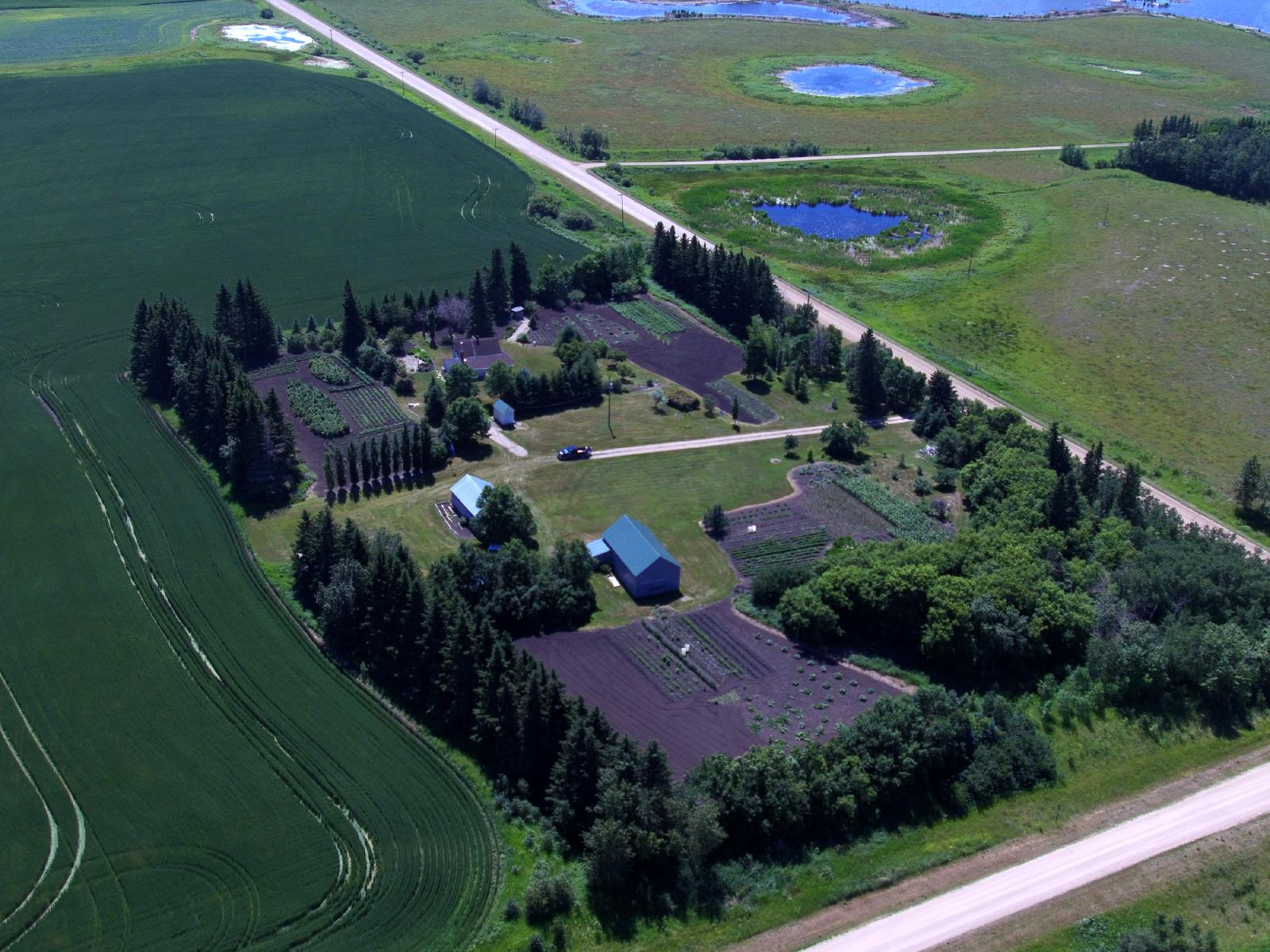 The Farm